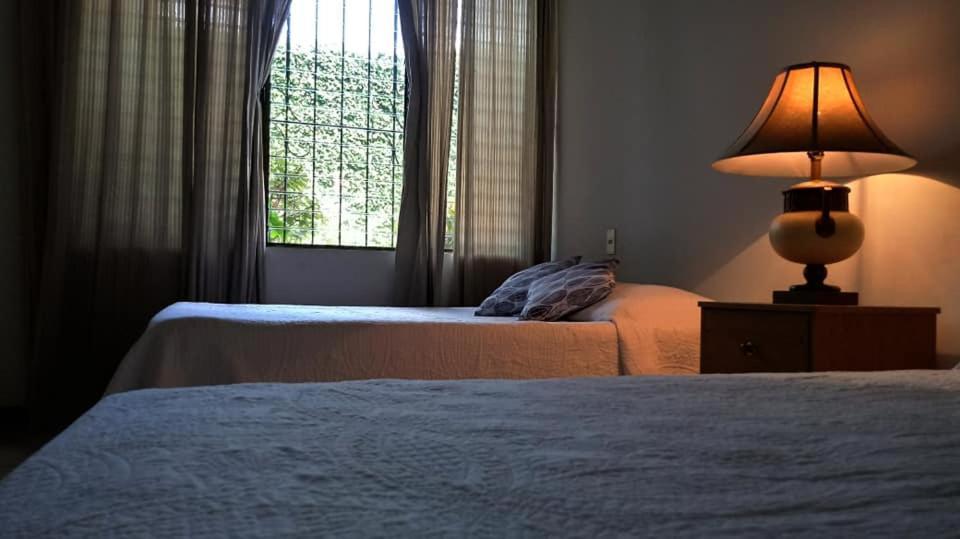 Hotel Alamo Internacional 산살바도르 외부 사진